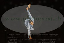ref. photo 3176796