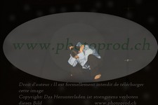 ref. photo 3176798