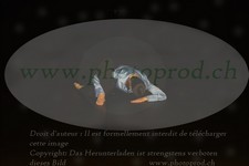 ref. photo 3176799