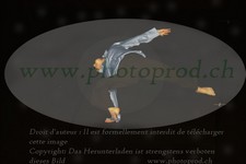 ref. photo 3176829