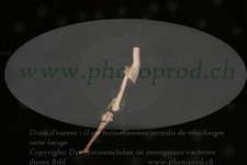 ref. photo 3177006