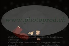 ref. photo 3177048