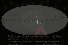 ref. photo 3177052