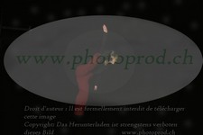 ref. photo 3177066