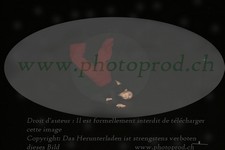 ref. photo 3177069