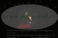ref. photo 3177070