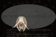 ref. photo 3177183