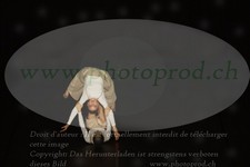 ref. photo 3177184