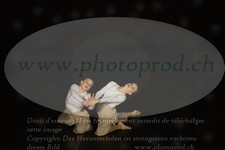 ref. photo 3177199