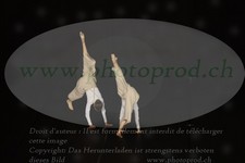 ref. photo 3177203