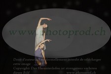 ref. photo 3177255