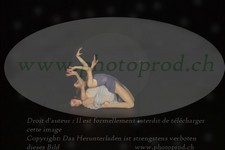 ref. photo 3177260