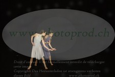 ref. photo 3177269