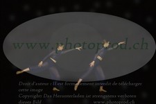 ref. photo 3177280