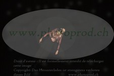 ref. photo 3177360