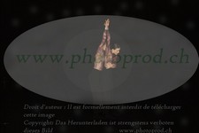 ref. photo 3177362
