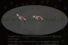 ref. photo 3177368