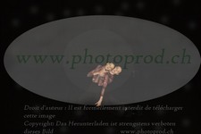 ref. photo 3177371