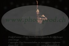 ref. photo 3177378