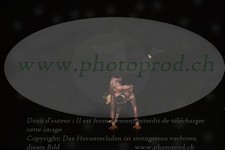 ref. photo 3177380