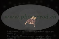 ref. photo 3177386