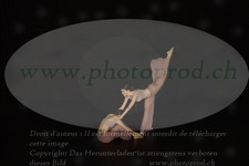 ref. photo 3177403