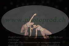 ref. photo 3177420
