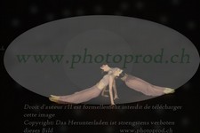ref. photo 3177421