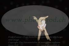 ref. photo 3177442