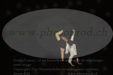 ref. photo 3177475