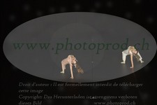 ref. photo 3177490