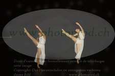ref. photo 3177504
