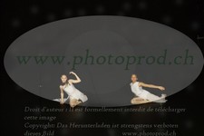 ref. photo 3177511