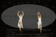 ref. photo 3177515