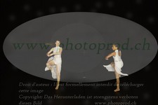 ref. photo 3177519