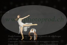ref. photo 3177530