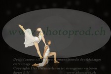 ref. photo 3177534
