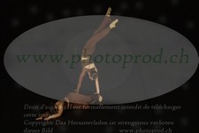 ref. photo 3177600