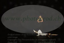 ref. photo 3177784