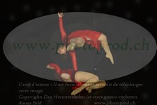 ref. photo 3177796