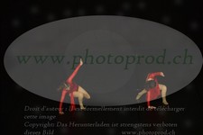 ref. photo 3177812