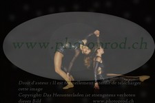 ref. photo 3177847