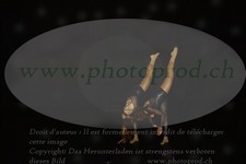 ref. photo 3177854