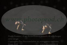 ref. photo 3177856