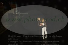 ref. photo 3177869