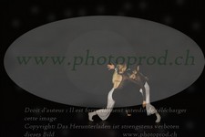 ref. photo 3177890
