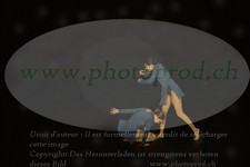 ref. photo 3177935