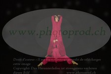 ref. photo 3178000