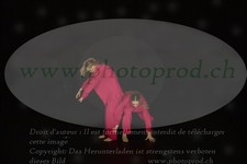 ref. photo 3178006