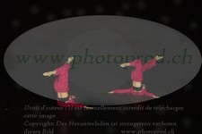 ref. photo 3178011